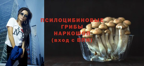 прущие грибы Бугульма