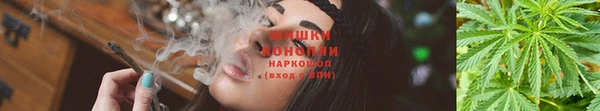крисы Богородицк