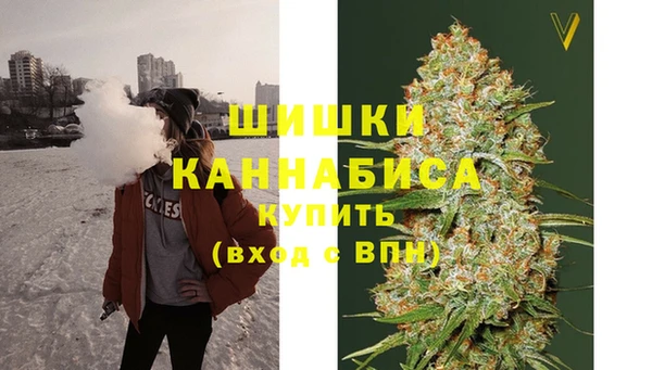 прущие грибы Бугульма