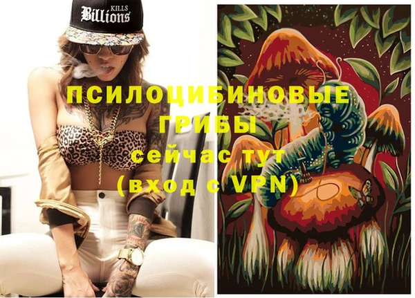 а пвп мука Бородино