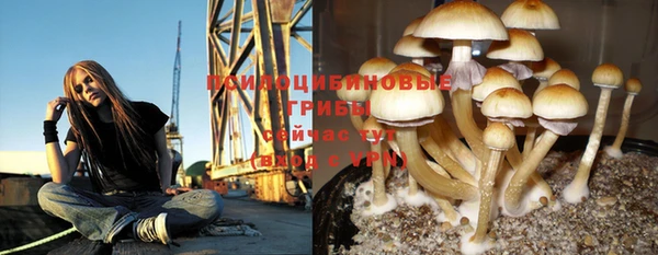 mdpv Богданович