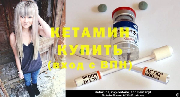 крисы Богородицк