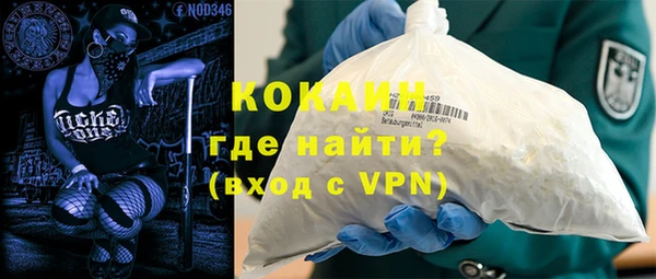 крисы Богородицк