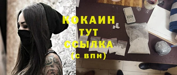 прущие грибы Бугульма