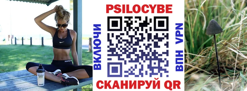 Псилоцибиновые грибы Psilocybe  Грязи 
